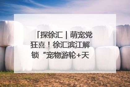 探徐汇｜萌宠党狂喜！徐汇滨江解锁“宠物游轮+天台乐园”双玩法
