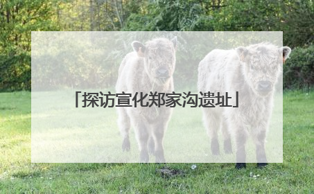 探访宣化郑家沟遗址