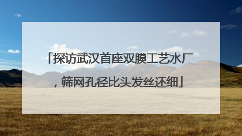 探访武汉首座双膜工艺水厂，筛网孔径比头发丝还细
