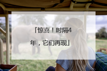 惊喜！时隔4年，它们再现