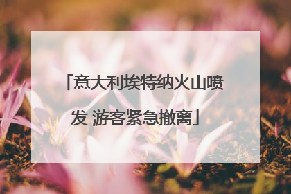 意大利埃特纳火山喷发 游客紧急撤离