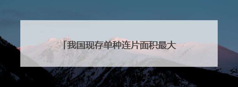 我国现存单种连片面积最大的海草床生态修复持续推进 为了“海底草原”更繁茂