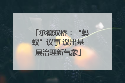 承德双桥：“蚂蚁”议事 议出基层治理新气象
