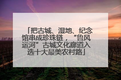 把古城、湿地、纪念馆串成珍珠链，“鲁风运河”古城文化廊道入选十大最美农村路