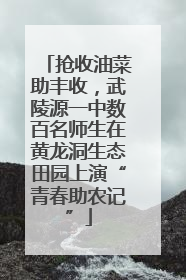 抢收油菜助丰收，武陵源一中数百名师生在黄龙洞生态田园上演“青春助农记”