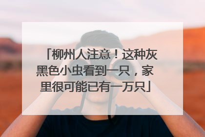 柳州人注意！这种灰黑色小虫看到一只，家里很可能已有一万只