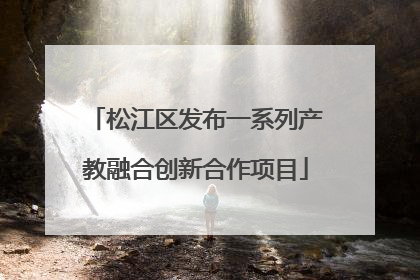 松江区发布一系列产教融合创新合作项目