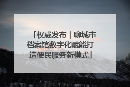 权威发布｜聊城市档案馆数字化赋能打造便民服务新模式