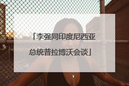 李强同印度尼西亚总统普拉博沃会谈