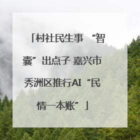 村社民生事 “智囊”出点子 嘉兴市秀洲区推行AI“民情一本账”
