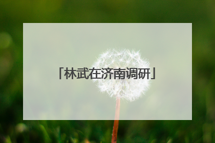 林武在济南调研
