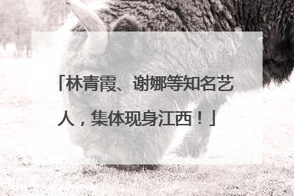 林青霞、谢娜等知名艺人，集体现身江西！