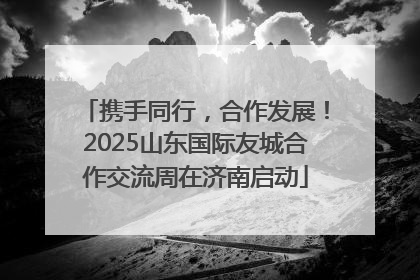 携手同行，合作发展！2025山东国际友城合作交流周在济南启动