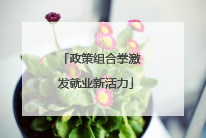政策组合拳激发就业新活力