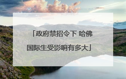 政府禁招令下 哈佛国际生受影响有多大