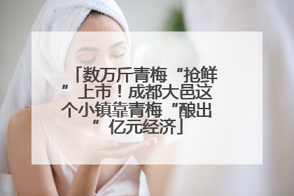 数万斤青梅“抢鲜”上市！成都大邑这个小镇靠青梅“酿出”亿元经济
