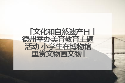 文化和自然遗产日丨德州举办美育教育主题活动 小学生在博物馆里赏文物画文物