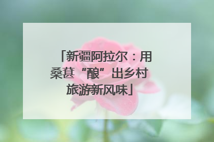 新疆阿拉尔：用桑葚“酿”出乡村旅游新风味