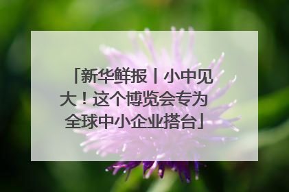 新华鲜报丨小中见大！这个博览会专为全球中小企业搭台