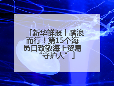 新华鲜报丨踏浪而行！第15个海员日致敬海上贸易“守护人”