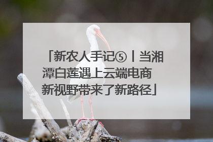 新农人手记⑤丨当湘潭白莲遇上云端电商 新视野带来了新路径