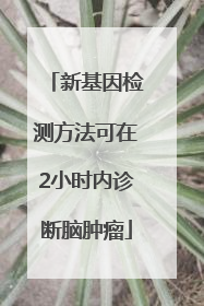 新基因检测方法可在2小时内诊断脑肿瘤