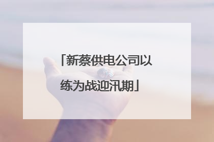 新蔡供电公司以练为战迎汛期