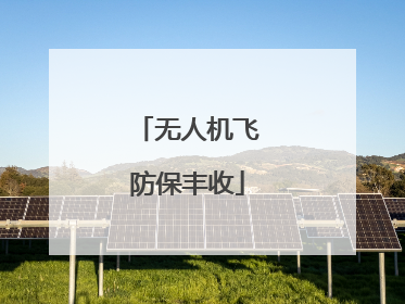 无人机飞防保丰收