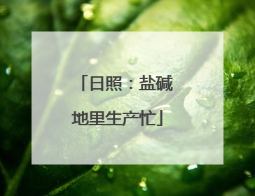日照：盐碱地里生产忙