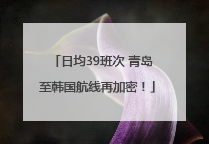 日均39班次 青岛至韩国航线再加密！
