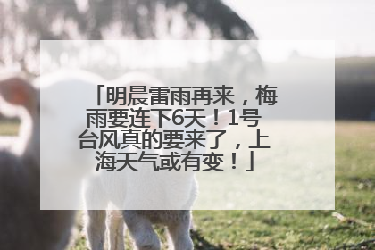 明晨雷雨再来，梅雨要连下6天！1号台风真的要来了，上海天气或有变！