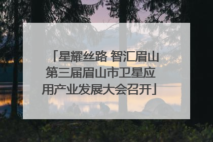 星耀丝路 智汇眉山 第三届眉山市卫星应用产业发展大会召开