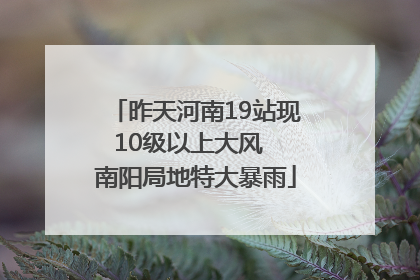 昨天河南19站现10级以上大风  南阳局地特大暴雨