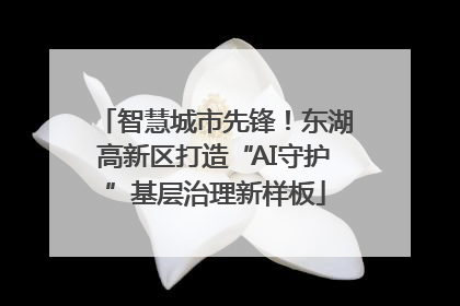 智慧城市先锋！东湖高新区打造“AI守护”基层治理新样板