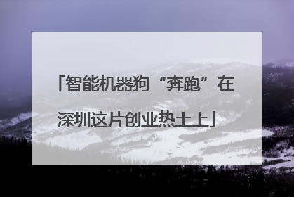 智能机器狗“奔跑”在深圳这片创业热土上