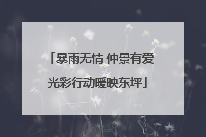 暴雨无情 仲景有爱 光彩行动暖映东坪