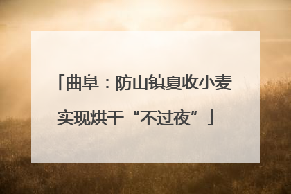 曲阜：防山镇夏收小麦实现烘干“不过夜”