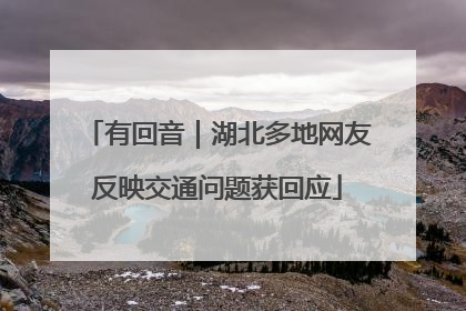 有回音｜湖北多地网友反映交通问题获回应