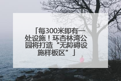 每300米即有一处设施！环杏林湾公园将打造“无障碍设施样板区”