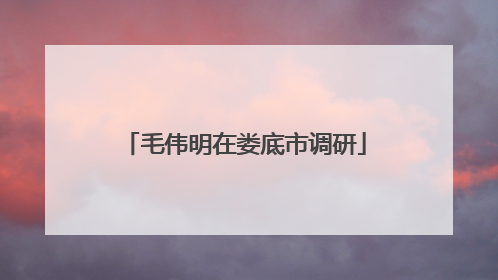 毛伟明在娄底市调研