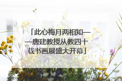 此心梅月两相知——唐建教授从教四十载书画展盛大开幕