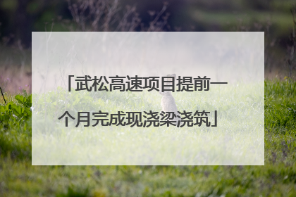 武松高速项目提前一个月完成现浇梁浇筑
