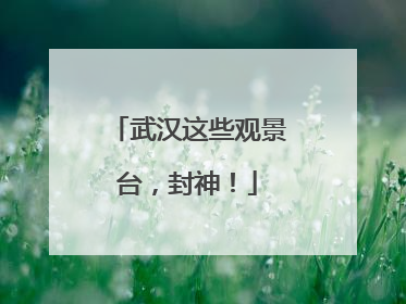 武汉这些观景台，封神！