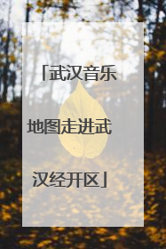 武汉音乐地图走进武汉经开区