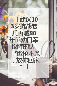 武汉103岁抗战老兵再喊80年前劝日军投降的话 “缴枪不杀，放你回家”
