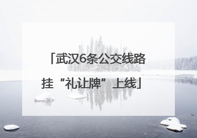 武汉6条公交线路挂“礼让牌”上线