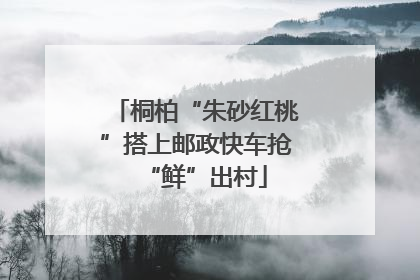 桐柏“朱砂红桃”搭上邮政快车抢“鲜”出村