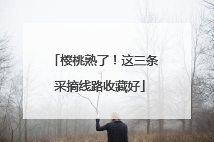 樱桃熟了！这三条采摘线路收藏好