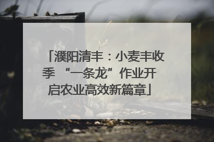濮阳清丰：小麦丰收季 “一条龙”作业开启农业高效新篇章