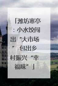 潍坊寒亭：小水饺闯出“大市场” 包出乡村振兴“幸福味”